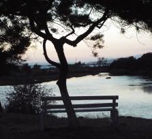 ΤΟ ΜΟΝΑΧΙΚΟ ΠΑΓΚΑΚΙ ΣΤΗΝ ΚΟΡΩΝΗΣΙΑ
