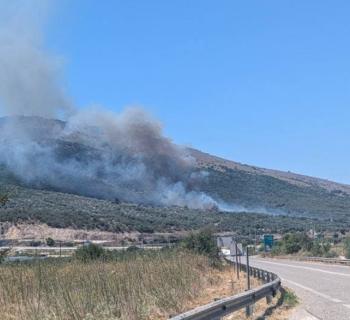 Φωτιά στην Αμφιλοχία: Μεγάλη κινητοποίηση στη Στάνο