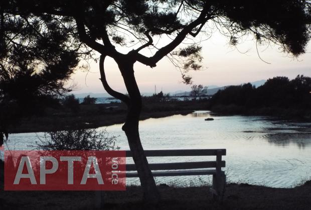 ΤΟ ΜΟΝΑΧΙΚΟ ΠΑΓΚΑΚΙ ΣΤΗΝ ΚΟΡΩΝΗΣΙΑ