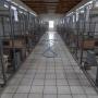 ΆΡΤΑ: ΌΧΙ ΣΤΗ ΔΗΜΙΟΥΡΓΙΑ ΔΟΜΗΣ ΑΔΕΣΠΟΤΩΝ ΖΩΩΝ ΚΟΝΤΑ ΣΤΟΥΣ ΟΙΚΙΣΜΟΥΣ ΑΜΦΙΘΕΑΣ ΚΑΙ ΝΕΟΧΩΡΑΚΙΟΥ