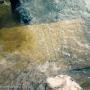 ΑΡΤΑ: ΑΡΧΑΙΑ ΕΠΙΤΥΜΒΙΑ ΣΤΗΛΗ ΒΡΕΘΗΚΕ ΣΤΟΝ ΑΡΑΧΘΟ
