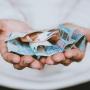 ΑΡΤΑ: ΗΛΙΚΙΩΜΕΝΟΣ ΕΧΑΣΕ 2.870 € ΜΕ ΑΠΑΤΗ 
